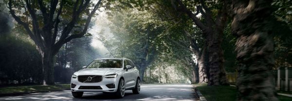 White 2019 Volvo XC60 driving road surrounded by trees